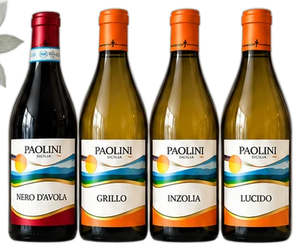 Cantine Paolini Nero d’Avola, Grillo, Inzolia, Lucido oder Chardonnay